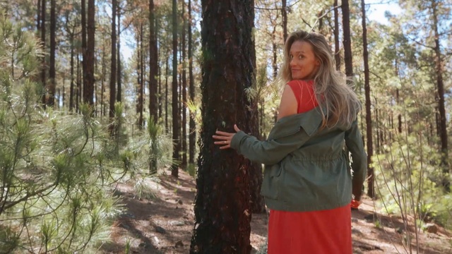 Video Reference: People in nature, Woodland, Forest, Nature, Tree, Natural environment, Wilderness, Old-growth forest, Northern hardwood forest, Grove