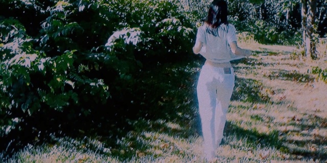 Video Reference: Nature, Photograph, Grass, Tree, Lady, Standing, Botany, Photography, Summer, Meadow