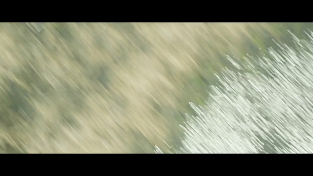 Video Reference: green, grass, atmosphere, grass family, close up, light, sky, leaf, sunlight, morning