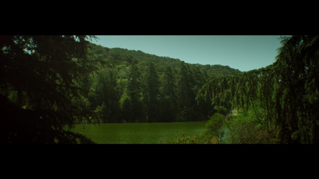 Video Reference: green, nature, vegetation, ecosystem, nature reserve, water, wilderness, forest, sky, tree
