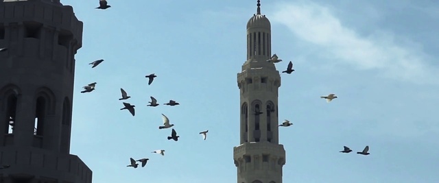 Video Reference: Bird, Flock, Sky, Bird migration, Animal migration, Tower, Mosque, Steeple, Building