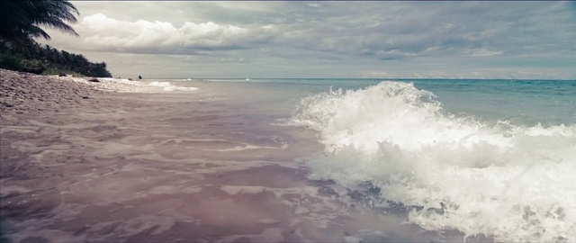Video Reference: Wave, Body of water, Sea, Ocean, Wind wave, Sky, Shore, Tide, Water, Cloud