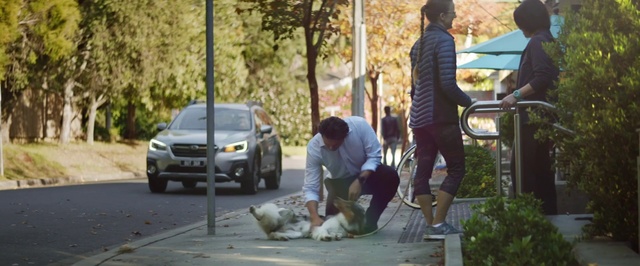 Video Reference: Vehicle, Car, Sidewalk, Pedestrian, Sport utility vehicle, Plant, Asphalt, Road, Street