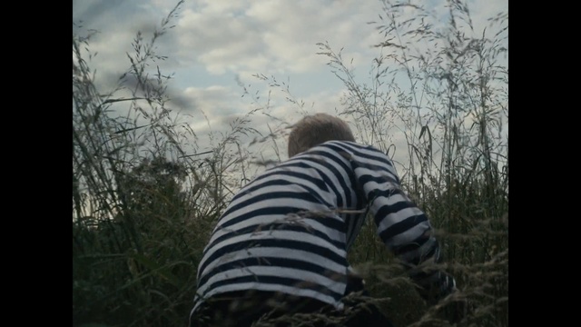 Video Reference: tree, sky, photograph, nature, woody plant, wilderness, ecosystem, emotion, plant, photography, Person