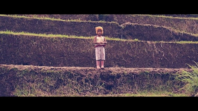 Video Reference: Sky, Grass, Standing, Tree, Line, Atmosphere, Sunlight, Photography, Fun, Soil