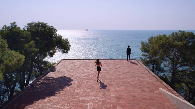 Video Reference: Sea, Water, Vacation, Coast, Tree, Tourism, Beach, Ocean, Coastal and oceanic landforms, Leisure