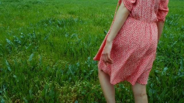 Video Reference: People in nature, Clothing, Grass, Green, Pink, Dress, Red, Meadow, Grass, Summer