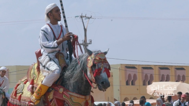 Video Reference: horse, pack animal, middle ages, horse like mammal, knight, festival, stallion, Person