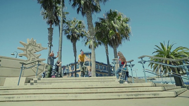 Video Reference: Tree, Palm tree, Boardwalk, Beach, Vacation, Arecales, Woody plant, Tourism, Plant, Walkway