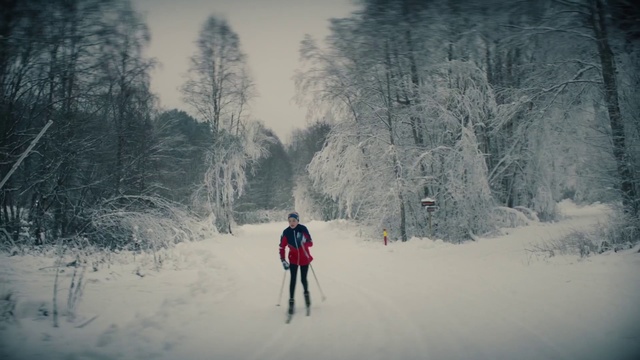 Video Reference: Snow, Winter, Atmospheric phenomenon, Freezing, Skiing, Cross-country skiing, Recreation, Tree, Ski touring, Winter sport