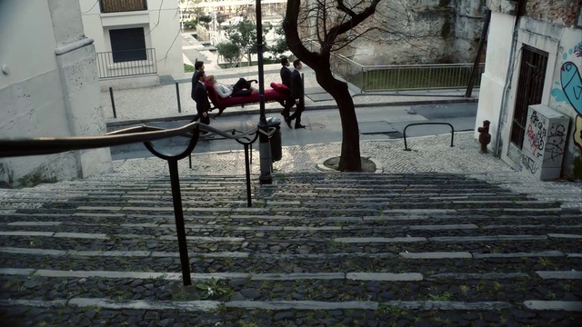 Video Reference: Tree, Cobblestone, Branch, Street, Plant, Handrail, Sidewalk, Flooring, Road