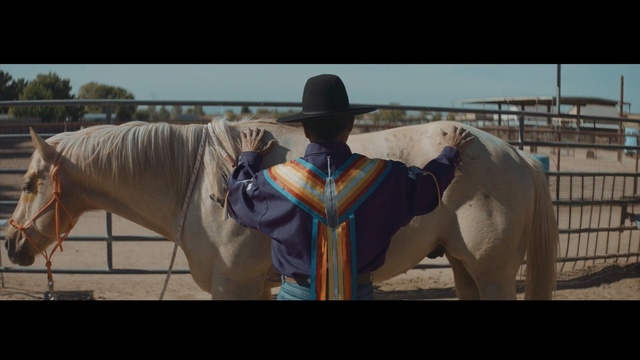 Video Reference: Horse, Halter, Stallion, Horse trainer, Horse tack, Mane, Mare, Rein, Bridle, Animal sports