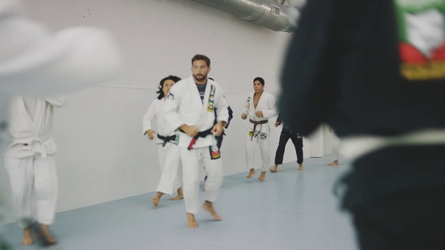 Video Reference: Martial arts uniform, Karate, Dobok, Martial arts, Judo, Japanese martial arts, Jujutsu, Taekwondo, Individual sports, Hapkido