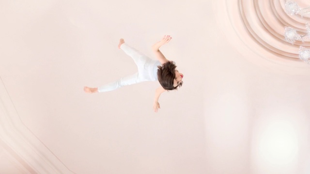 Video Reference: insect, arthropod