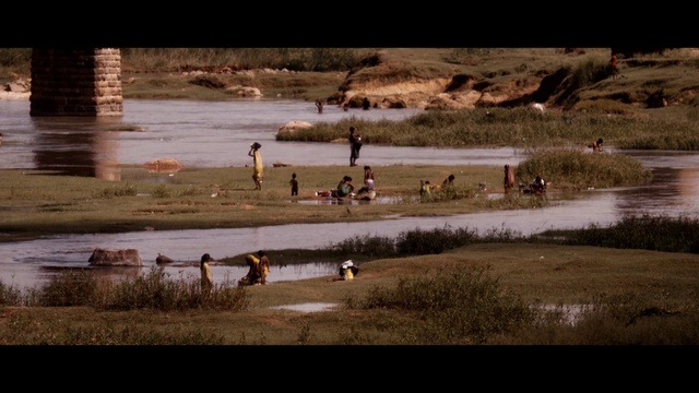 Video Reference: Water, Wildlife, Natural environment, Bank, River, Ecoregion, Grass, Landscape, Adaptation, Wetland