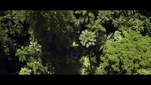Video Reference: Nature, Vegetation, Natural environment, Tree, Forest, Jungle, Rainforest, Green, Leaf, Biome