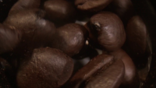 Video Reference: Brown, Food, Chestnut, Chocolate, Nut, Close-up, Hazelnut, Plant, Photography, Superfood