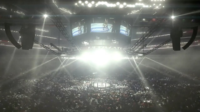 Video Reference: structure, atmosphere, sport venue, light, darkness, stage, sky, crowd, arena, computer wallpaper