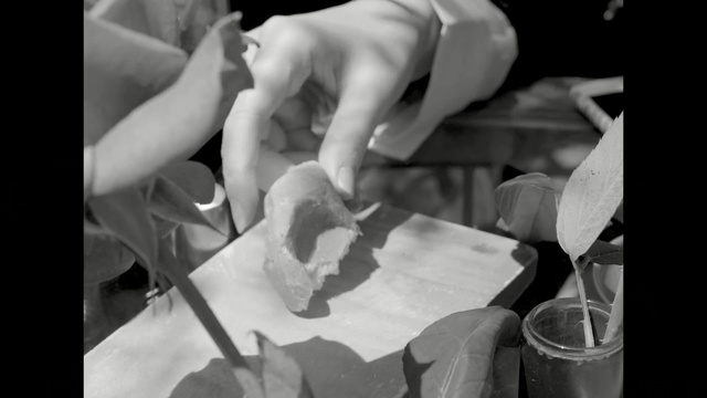 Video Reference: white, photograph, black, black and white, monochrome photography, man, hand, finger, leg, photography