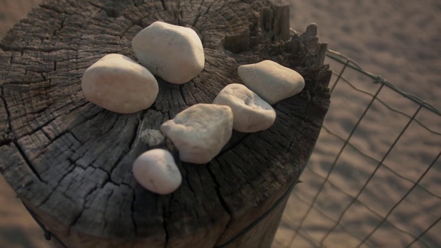 Video Reference: Rock, Pebble, Wood, Cobblestone