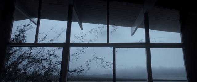 Video Reference: Water, Sky, Tree, Architecture, Glass, Window, Line, Daylighting, Reflection, Atmosphere