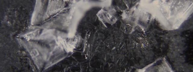 Video Reference: water, freezing, geological phenomenon, ice, rock, geology, tree, winter, formation, earth, Person