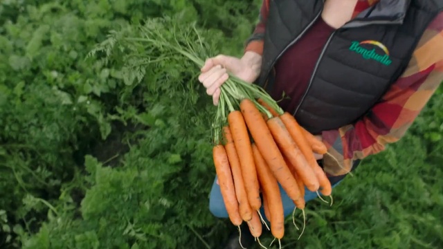 Video Reference: Carrot, Vegetable, Root vegetable, Finger, Plant, Hand, Grass, Leaf, Local food, Food