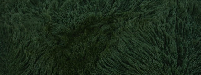 Video Reference: green, grass, ecosystem, vegetation, grass family, biome, tree, plant, forest, computer wallpaper