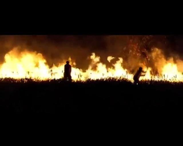 Video Reference: Fire, Flame, Heat, Wildfire, Explosion, Event, Crowd, Person