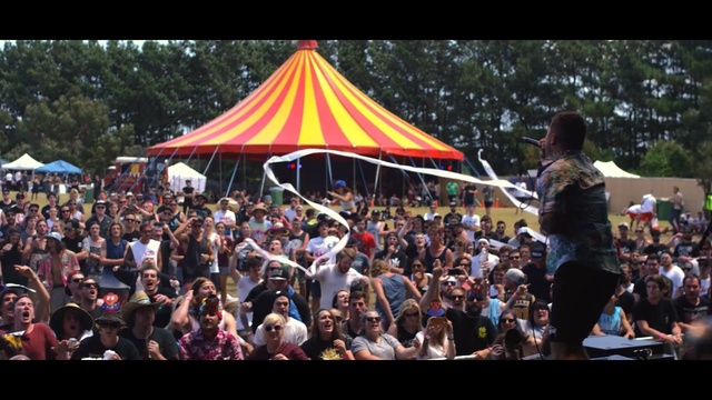 Video Reference: crowd, people, festival, audience, event, public event, fête, fun, block party, recreation
