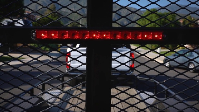 Video Reference: Chain-link fencing, Wire fencing, Iron, Mesh, Fence, Tree, Metal, Architecture, Net, Plant, Building, Red, Outdoor, Sitting, Large, Umbrella, Black, Bridge, Light, Bird, Train, Hanging, Track, Dock, White, Court, Standing, Yellow, Man, Holding, Water, Tower, City, Plane, Ceiling, Text, Window, Roof
