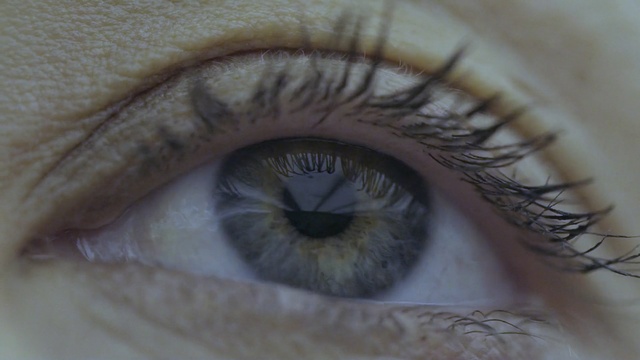 Video Reference: eye, eyebrow, eyelash, close up, macro photography, iris, organ, eyelash extensions, eye shadow, cosmetics