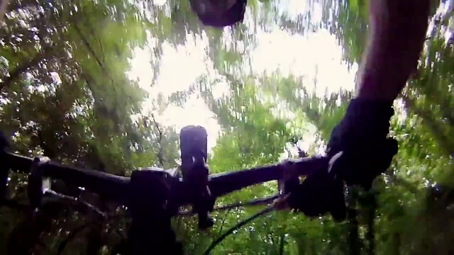 Video Reference: Nature, Tree, Sunlight, Jungle, Forest, Downhill mountain biking, Mountain biking, Woodland, Mountain bike, Branch