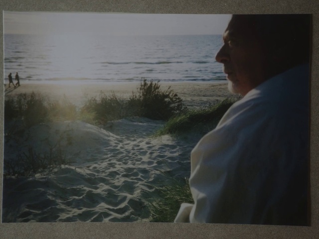 Video Reference: Water, Sky, Sea, Tree, Photography, Vacation, Sand, Beach, Ocean, Plant