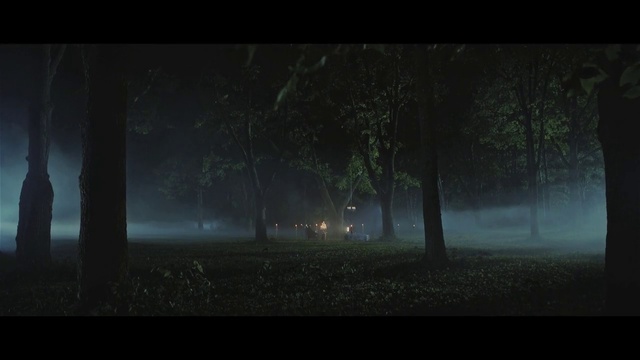 Video Reference: Nature, Black, Atmospheric phenomenon, Darkness, Green, Atmosphere, Mist, Tree, Sky, Woodland