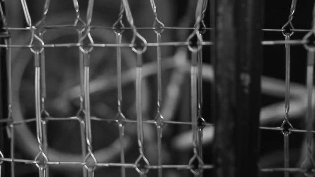 Video Reference: wire fencing, white, black, black and white, photograph, animal shelter, monochrome photography, chain link fencing, photography, light