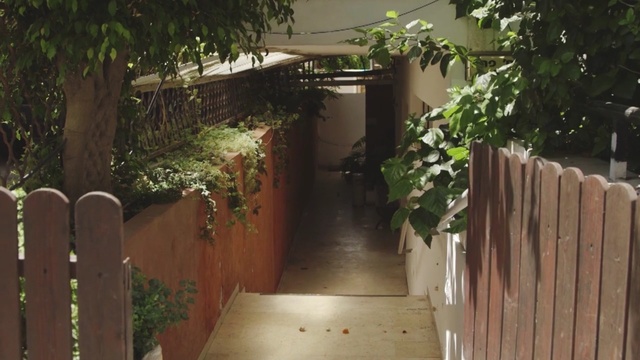 Video Reference: Property, Fence, Leaf, Backyard, Garden, Wood, Tree, Walkway, Real estate, Yard