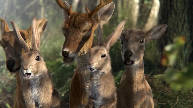Video Reference: Mammal, Vertebrate, Wildlife, Terrestrial animal, Deer, Roe deer, Adaptation, Organism, Snout, Fawn, Person