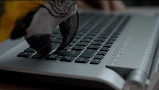 Video Reference: Computer keyboard, Laptop, Electronic device, Technology, Computer, Personal computer, Netbook, Finger, Hand, Input device