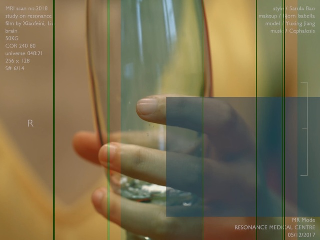 Video Reference: hand, finger, arm, angle, screenshot, computer wallpaper