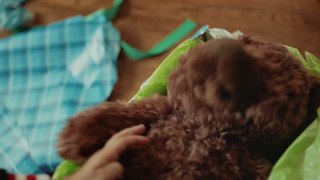 Video Reference: stuffed toy, teddy bear, child, plush, snout, toy, Person
