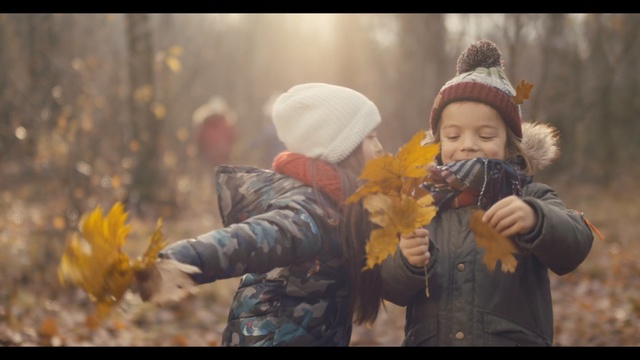 Video Reference: Child, Photography, Fun, Happy, Plant, Autumn, Smile, Play, Art, Person
