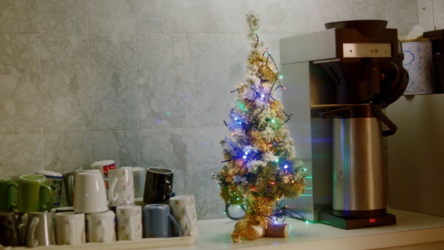 Video Reference: Christmas decoration, Houseplant, Flowerpot, Plant, Christmas tree, Still life, Interior design, Bottle, Still life photography, Floral design, Person