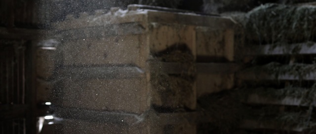 Video Reference: water, wood, darkness