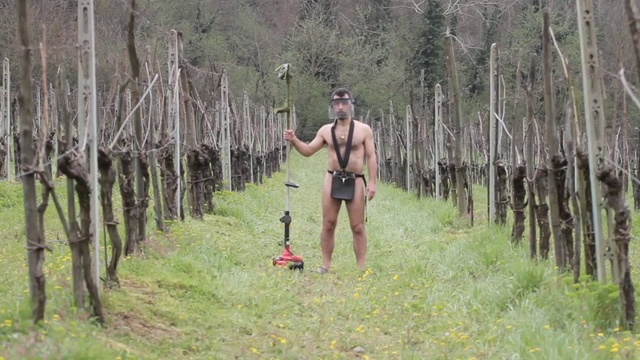 Video Reference: Tree, Biome, Forest, Woodland, Trail, Recreation, Jungle, Plant community, Plant, National park