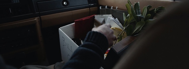 Video Reference: Plant, Photography, Desk, Table, Flower, Floristry