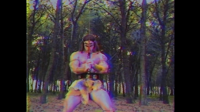 Video Reference: Purple, Natural environment, Violet, Lady, Tree, Woodland, Forest, Portrait, Plant, Fictional character, Person