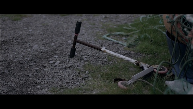 Video Reference: Soil, Grass, Lawn, Tree, Plant, Photography, Branch, Landscape, Forest, Fence