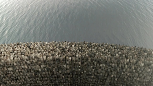 Video Reference: water, water resources