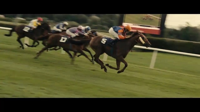 Video Reference: Horse, Animal sports, Sports, Jockey, Bridle, Horse racing, Mammal, Rein, Halter, Horse supplies, Person
